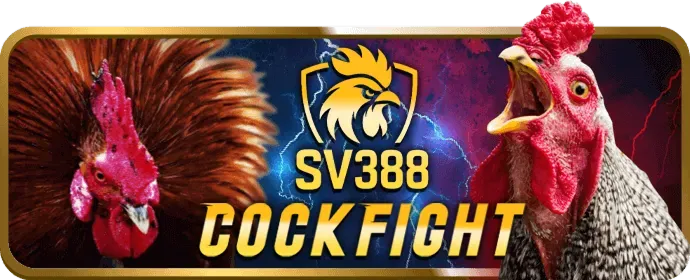 Hình ảnh quy trình nạp và rút tiền an toàn trên ứng dụng 8bet